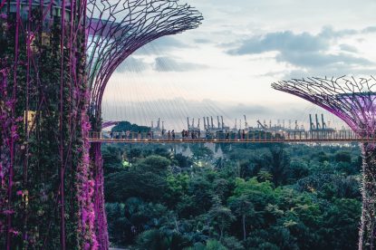 Singapore Gardens By The Bay 3