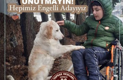 WhatsApp Image 2024 11 17 At 14.36.42