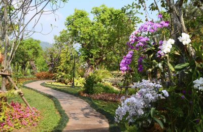 Seo Optimized Garden 1200x785